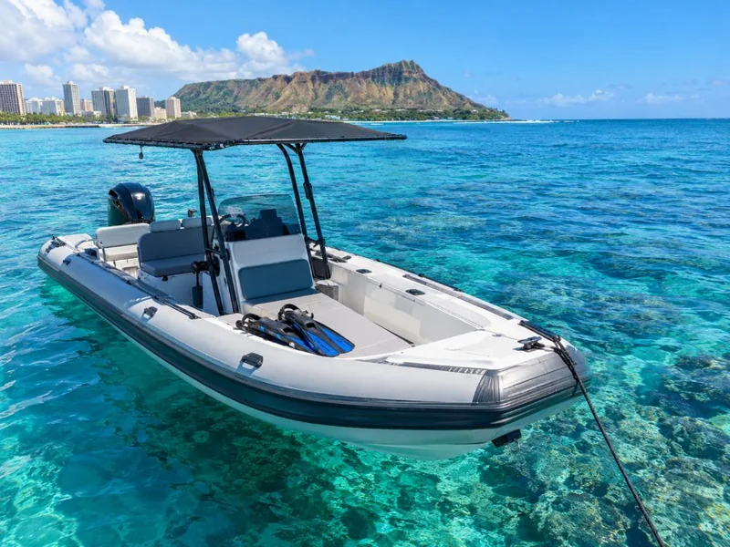 Tour di snorkeling con le tartarughe su una barca veloce, gruppo ridotto